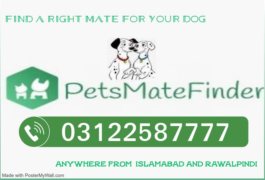 Pet breeding services, Pet mating, Dog mating, Pet breeders near me 0