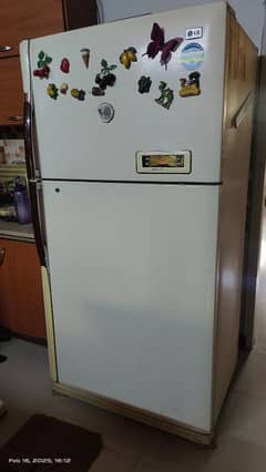 LG imported full size refrigerator