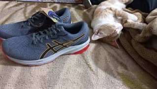 Asics , Sneakers  ( Brand New )