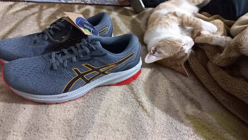 Asics , Sneakers  ( Brand New ) 0