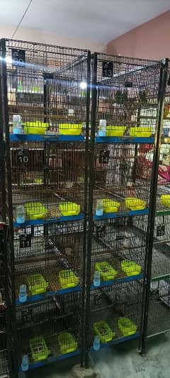 Love Birds Folding Cages with Angle and all Accessories