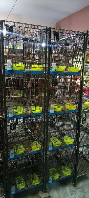 Love Birds Folding Cages with Angle and all Accessories 0