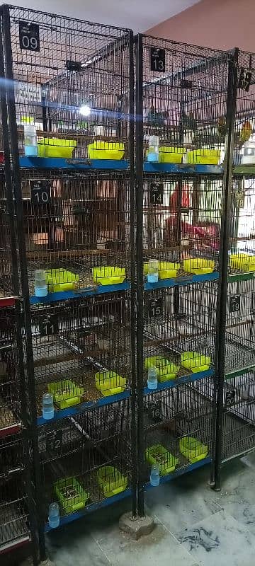 Love Birds Folding Cages with Angle and all Accessories 1