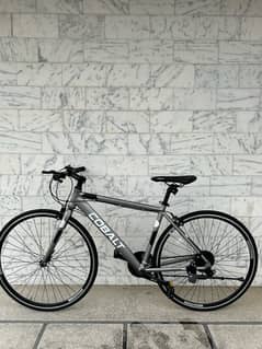 Hybrid bike