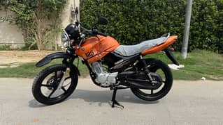 Yamaha YBR-G 125 2024 Model ( Special Edition)