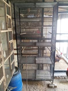 8 portion Cages for sale