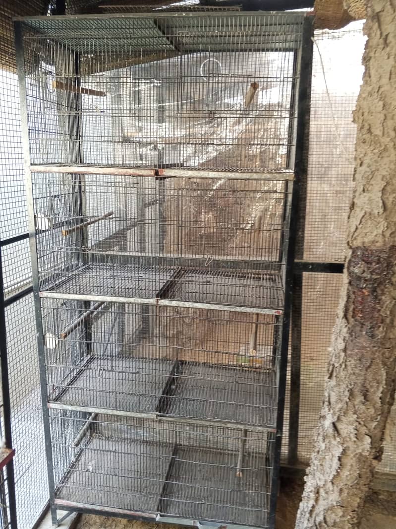 8 portion Cages for sale 1