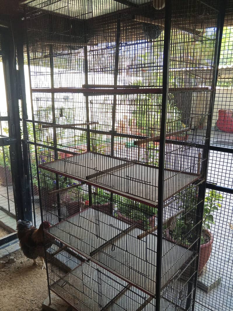 8 portion Cages for sale 2