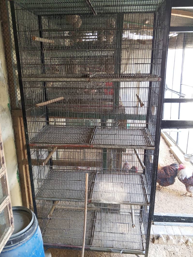 8 portion Cages for sale 3