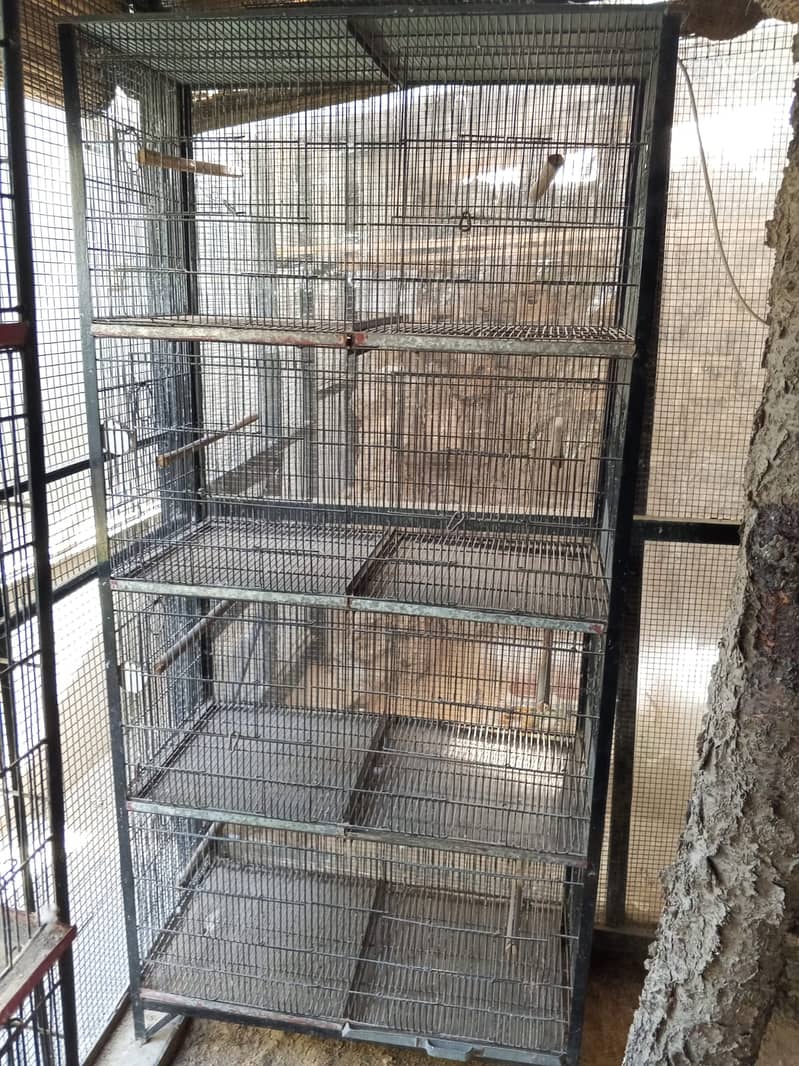 8 portion Cages for sale 4