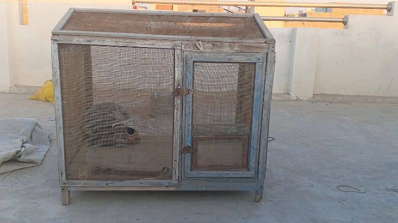 hen cages good condition 1