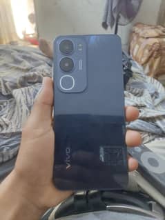 Vivo y19s