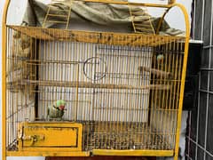 Iron cage for sale