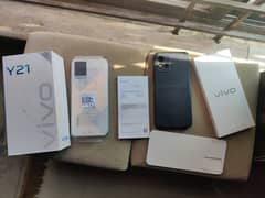 vivo