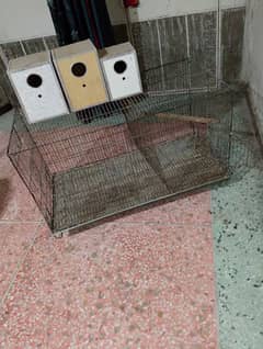 birds cage and birds house for sale