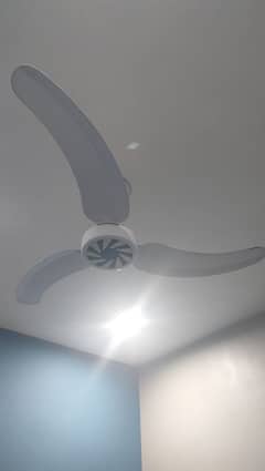 Ceiling Fans Cooper