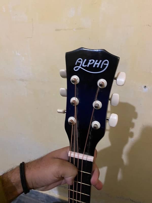 Accoutics alpha guitar 1