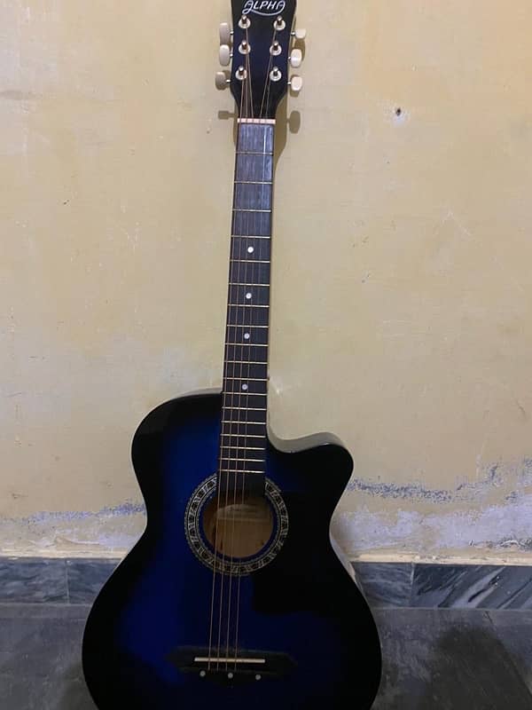 Accoutics alpha guitar 4