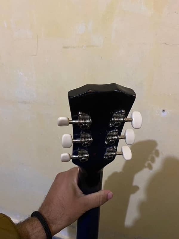 Accoutics alpha guitar 5