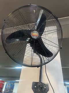 Fan