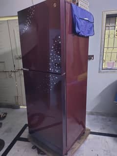 PEL Refrigerator Glass Door