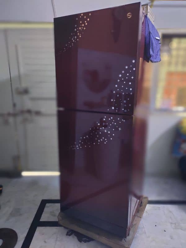 PEL Refrigerator Glass Door 1