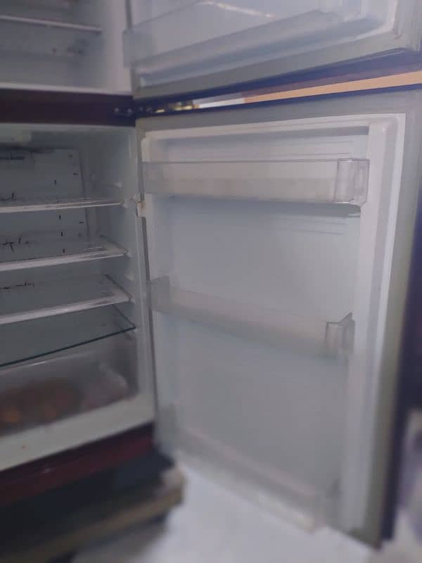 PEL Refrigerator Glass Door 6