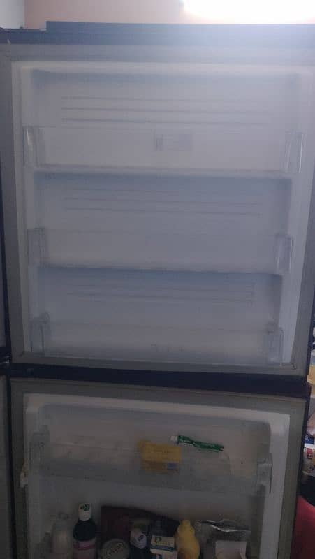 PEL Refrigerator Glass Door 13