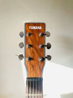 Yamaha F100!