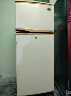 Samsung Medium Sized Room Fridge