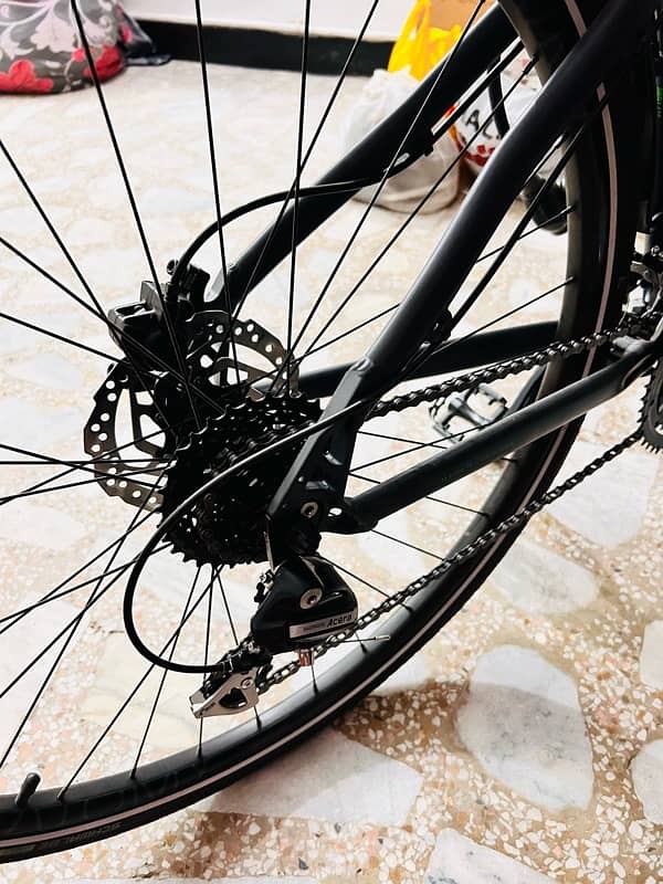 Gekko Flow STR Imported Cycle for sale! 3