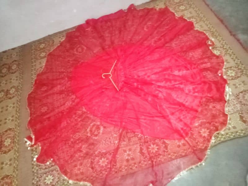 lehnga choli 1