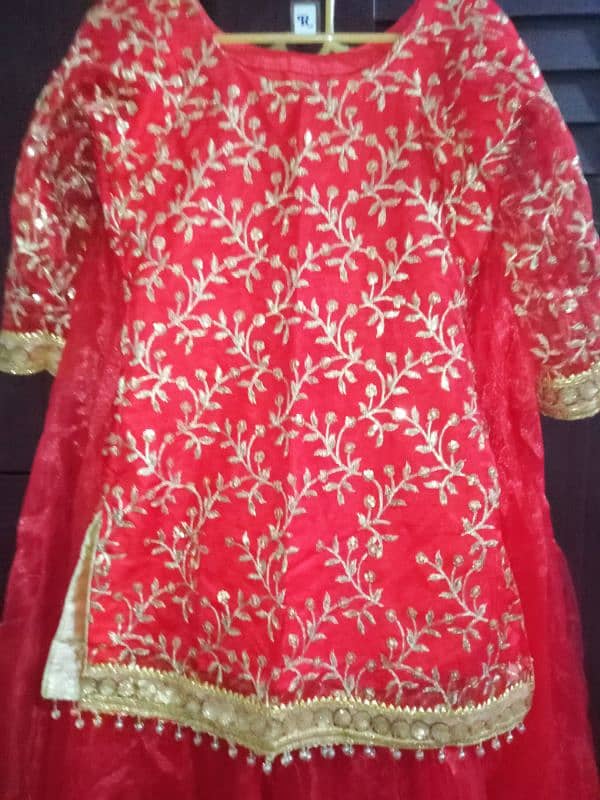 lehnga choli 2