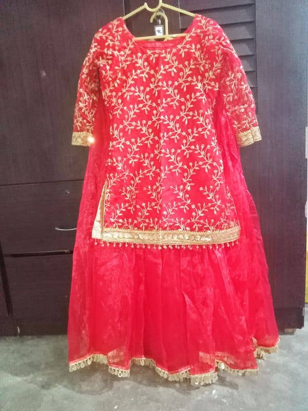 lehnga choli 3