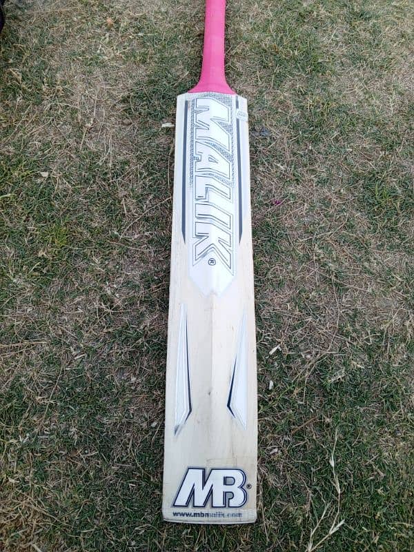 Hardball Cricket Bat 2