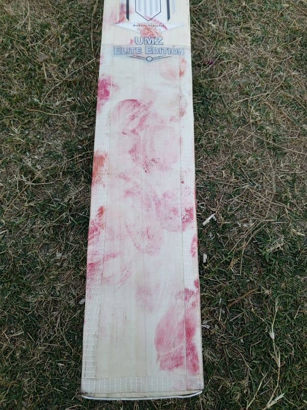 Hardball Cricket Bat 3