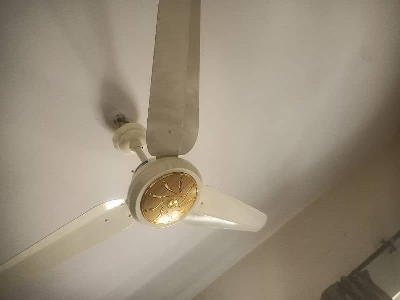 Ac Dc Ceiling fan 1