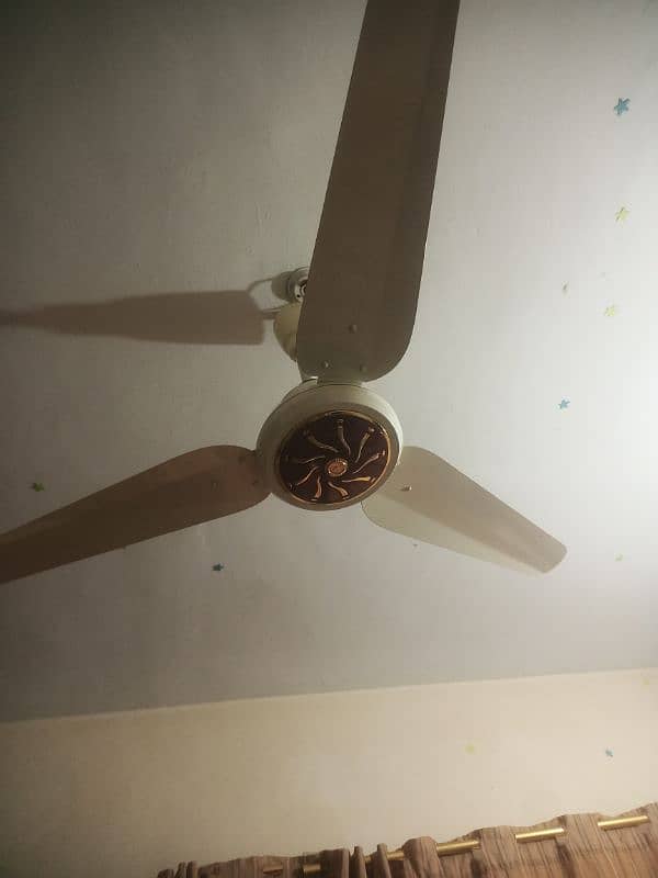 Ac Dc Ceiling fan 2