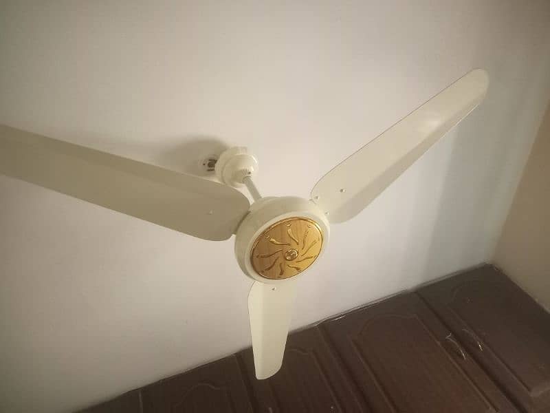 Ac Dc Ceiling fan 3