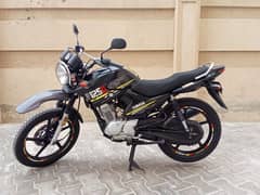 Yamaha YBR 125G model 2021