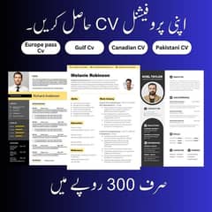 Professional CV maker 03422618898