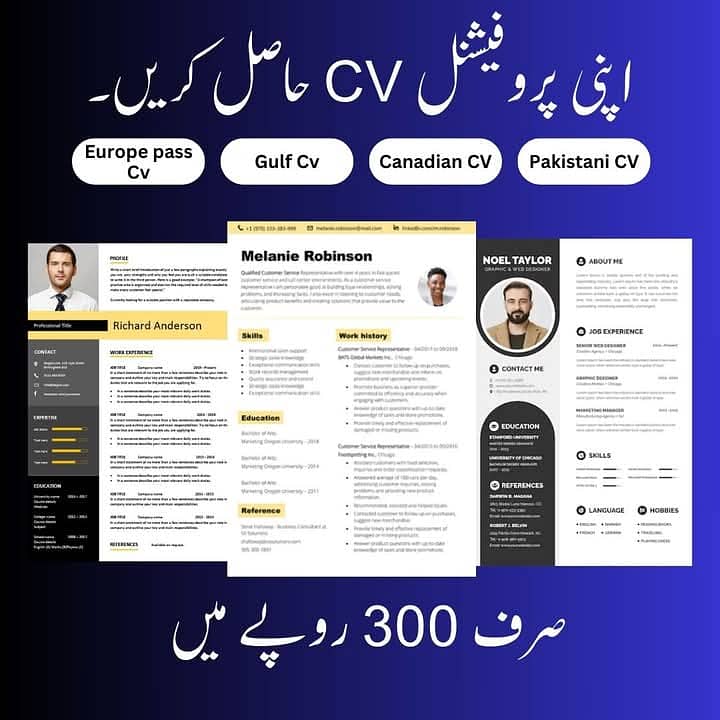 Professional CV maker 03422618898 0