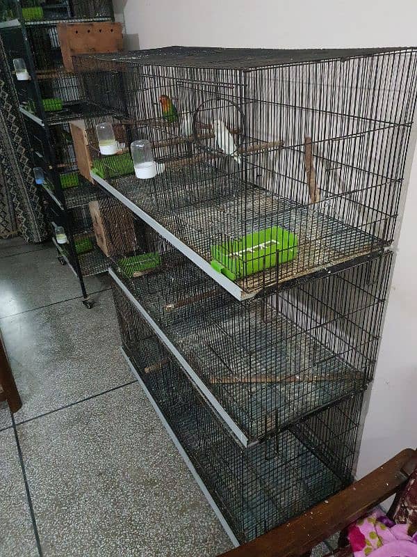 4 ft folding cage with partition for parrots 1