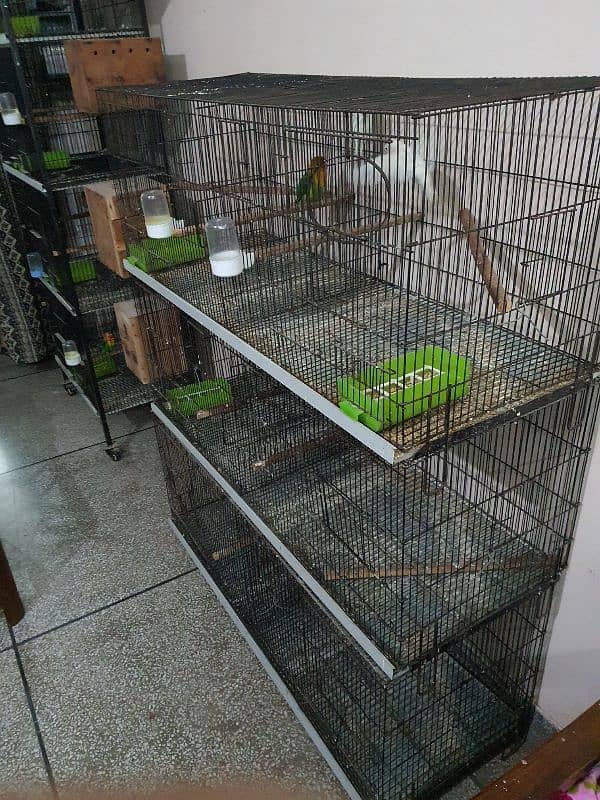 4 ft folding cage with partition for parrots 2