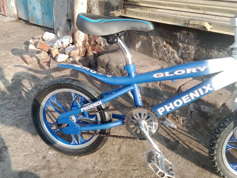 14 inch bicycle 3