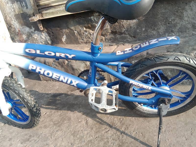 14 inch bicycle 8