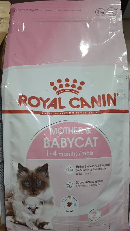 cat and dog food all breeds available 1