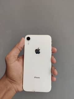 iphone xr non pta fu