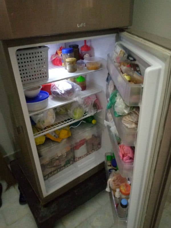 PEL Refrigerator 1