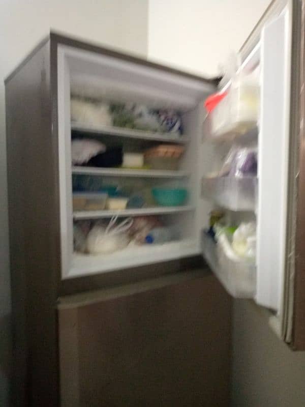 PEL Refrigerator 4